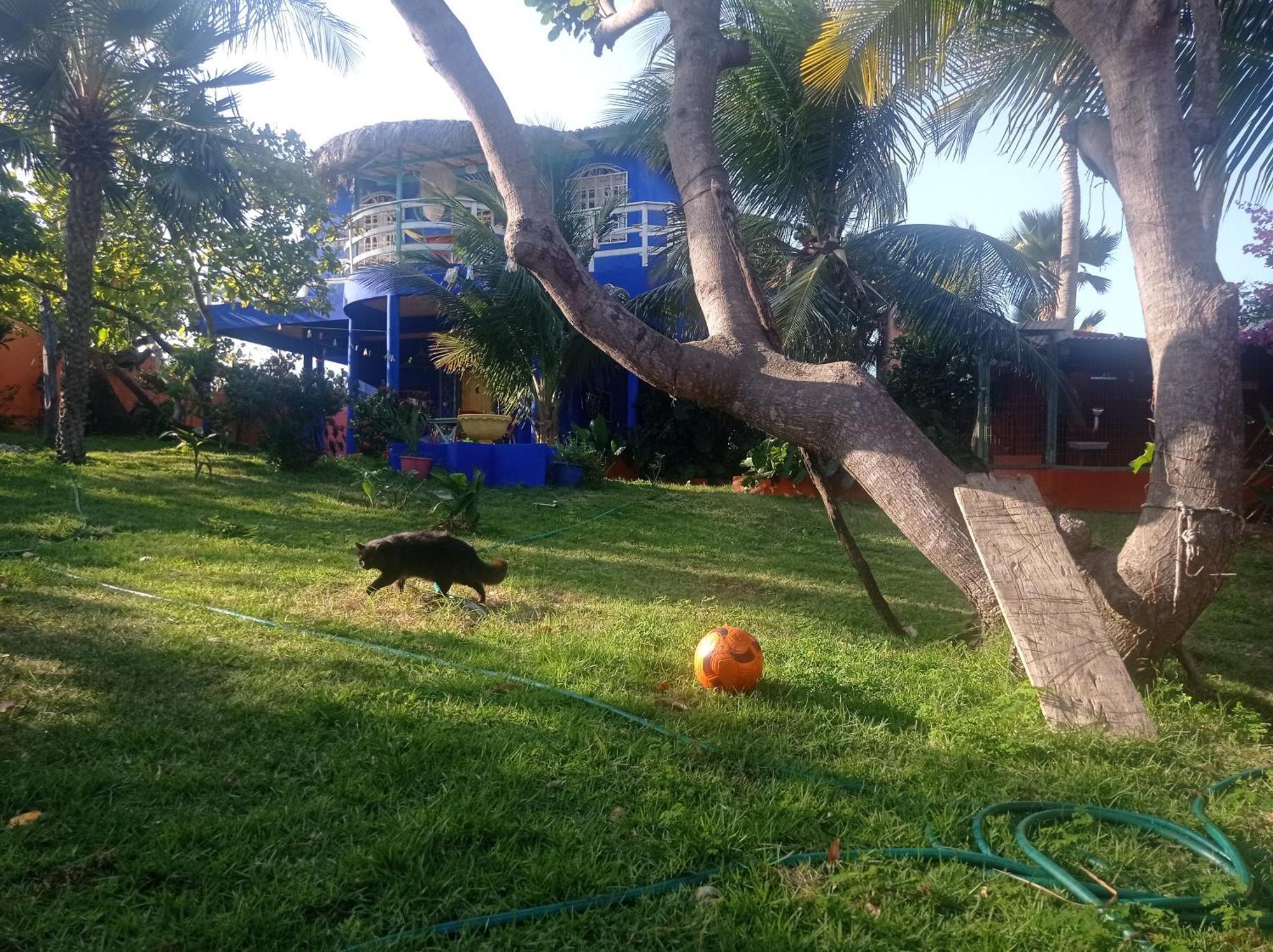 Charming Blue House With Kitchen Parking And Garden Villa Canoa Quebrada Exterior photo